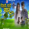 About Rodawe Taro Pyar Song